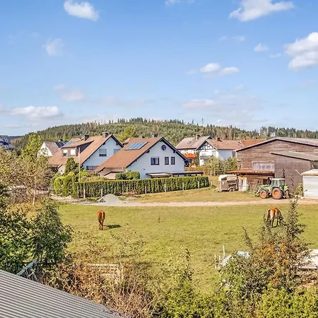 In Nahe Skigebiet Holiday home Medebach